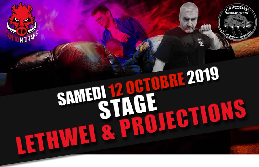 Stage Lethwei et Projections - samedi 12 octobre 2019